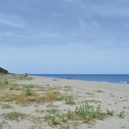 Apartment Pet Friendly In Talasani