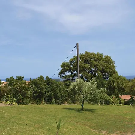 Pet Friendly In Talasani