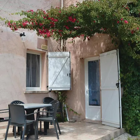 Pet Friendly In
