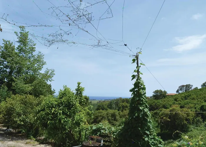 Appartement Cozy In *